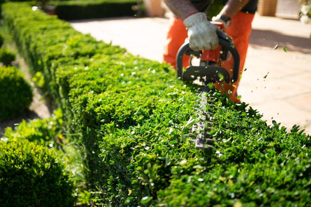 Entretien de jardins et d'espaces verts à Autun